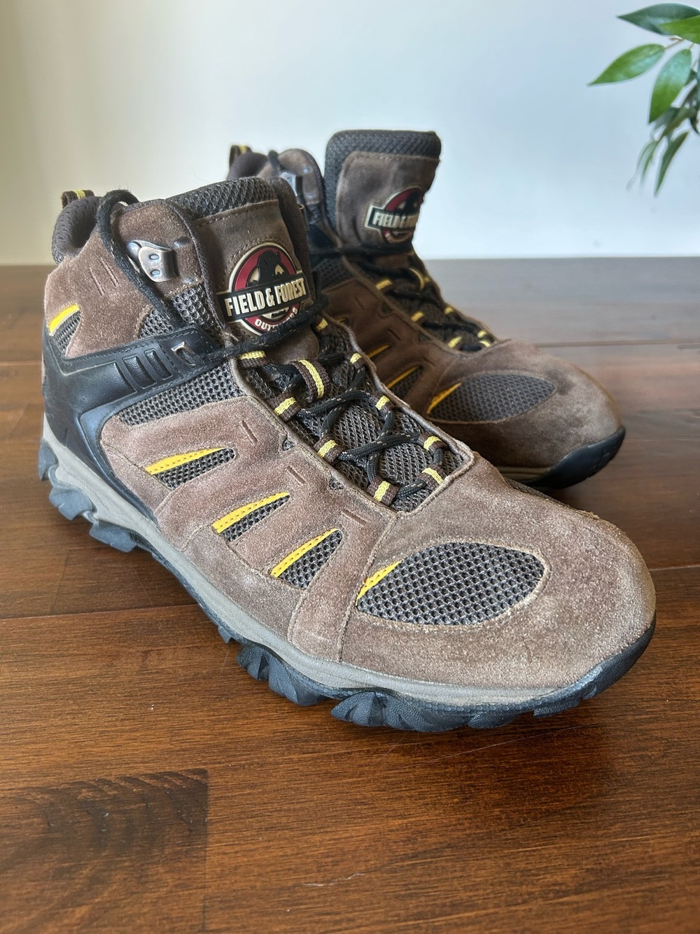 Men's Field & Forest Hiking Boots - Size 12 (Good Condition)